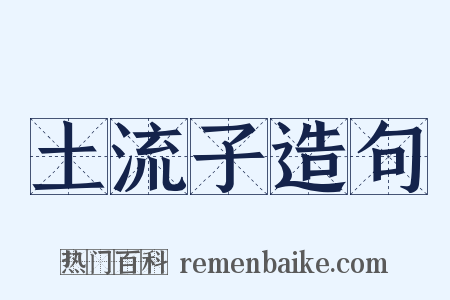 土流子造句是什么意思的图片